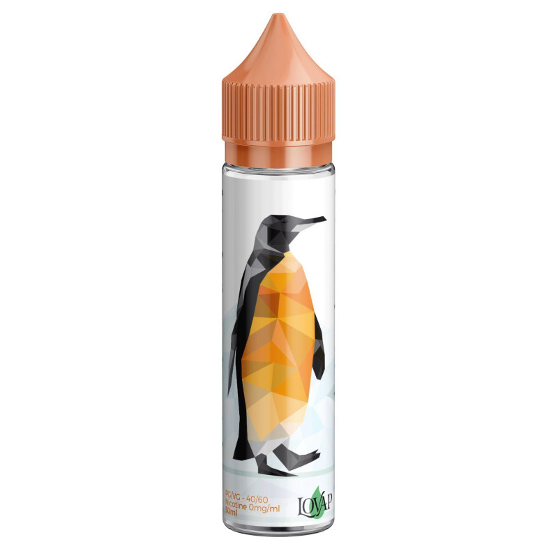 Pingouin Orange