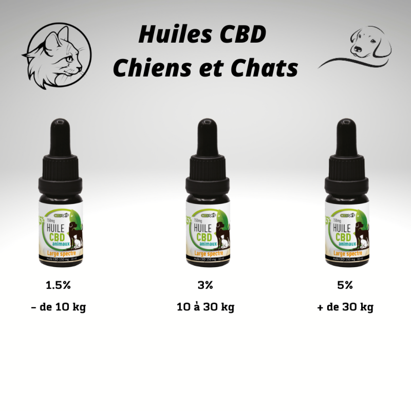 Huile CBD Chiens et Chats 1,5% proche de Muret, Colomiers, Plaisance du Touch.