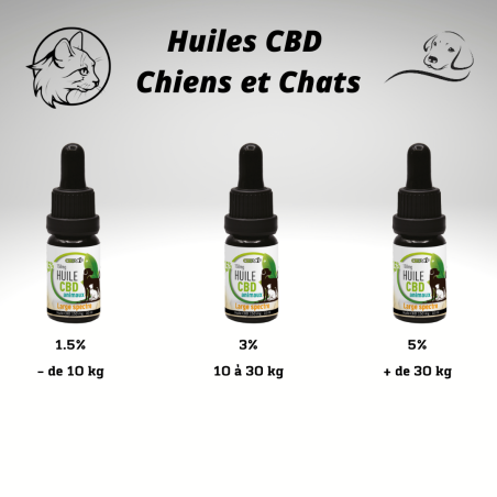 Huile CBD Chiens et Chats 1,5% proche de Muret, Colomiers, Plaisance du Touch.